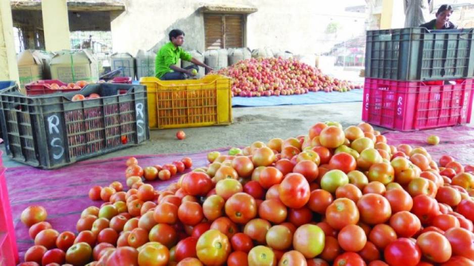 Vegetable imports from India to Nepal on rise