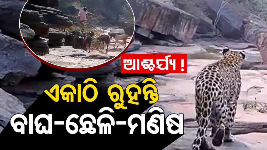 ଆଶ୍ଚର୍ଯ୍ୟ ଚକିତ କଲା ଭଳି ଘଟଣା: ଏକ ସ୍ଥାନରେ ବନ୍ୟଜନ୍ତୁଙ୍କ ସହ ମନୁଷ୍ୟର ସହବସ୍ଥାନ !