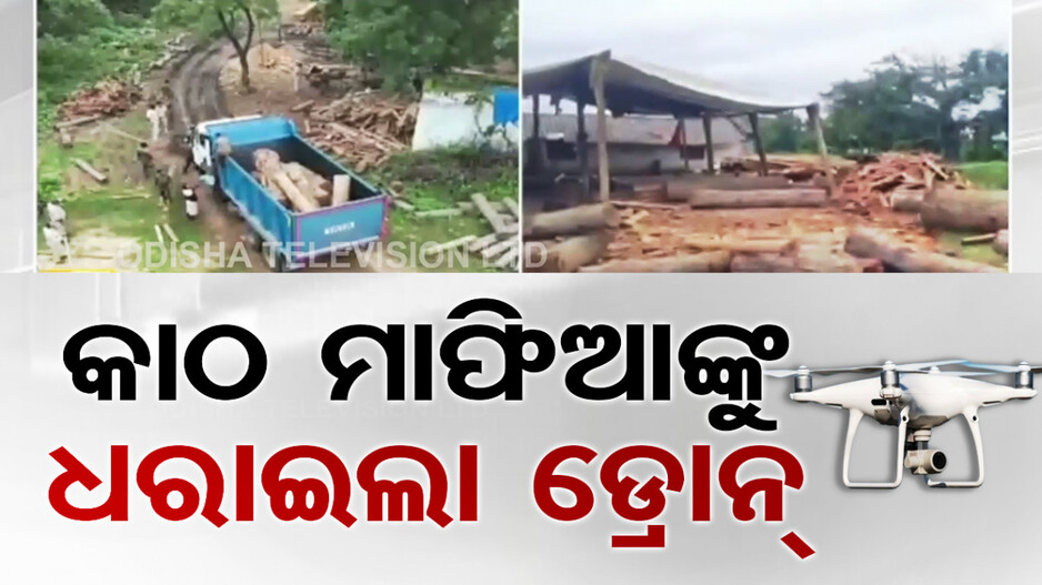 ଚୋରା କାଠ ମାଫିଆଙ୍କ ଉପରେ ବଡ଼ ଆକ୍ସନ୍, ମାଫିଆକୁ ଧରାଇଲା ଡ୍ରୋନ୍