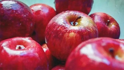 APPLE.