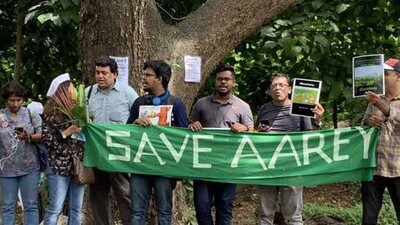 Aarey