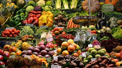 Agro-Export