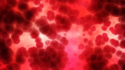 Antibodies