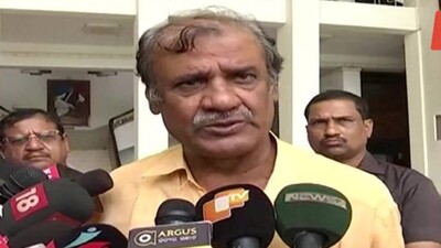 Ashok-Panda