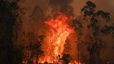 Aus-fire