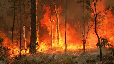 Australia-bush-fires