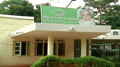 BJD-OFFICE