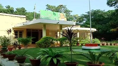 BJD-office
