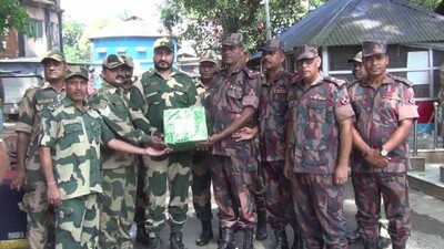 BSF-BGB