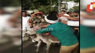 BSP-Leaders-on-donkey