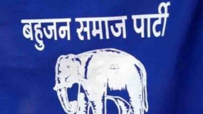 BSP