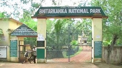 Bhitarkanika-1