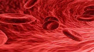Blood-Samples