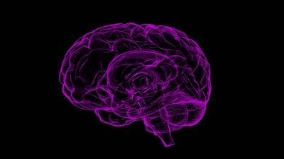 Brain-Inflammation