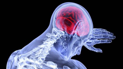 Brain-Tumour-Diagnosis