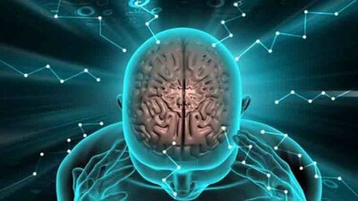 Brain-cells