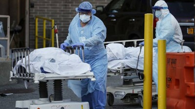 COVID-19-Death-Toll