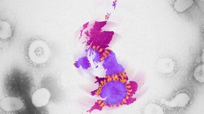 UK Variant Of COVID Will 'Sweep The World', Says Scientist