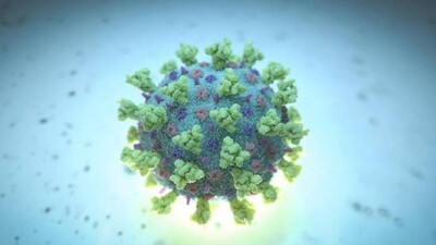 B117 Variant Of COVID19 Doesn't Lead To Severe Illness, Death