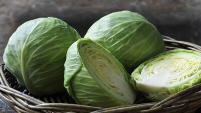 Cabbage