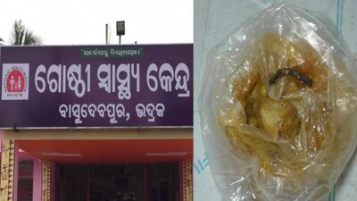 Centipede Found In Food