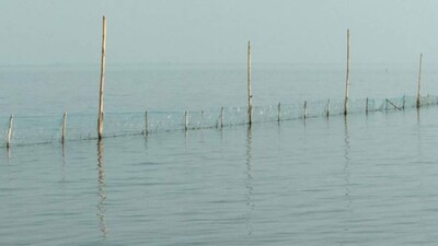 Chilika