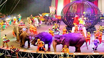 Circus