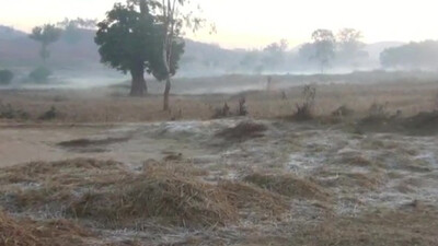 Cold wave to sweep Odisha again as rainfall activity decreases