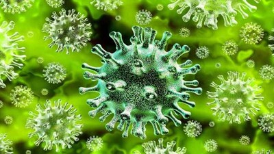 Coronavirus