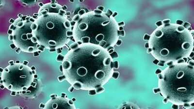 Coronavirus