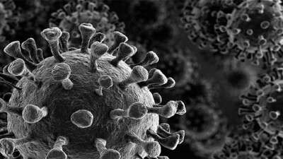 Coronavirus-2