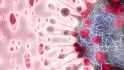 Coronavirus