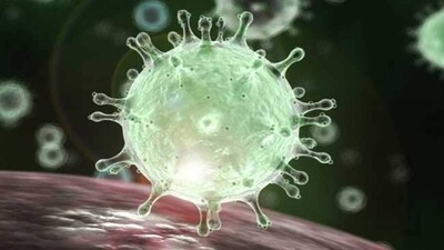 Coronavirus
