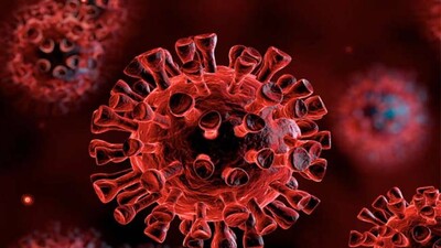 COVID-19 Cases In odisha
