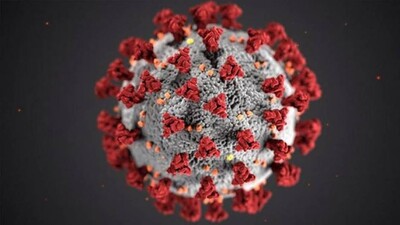 Coronavirus outbreak: Odisha live updates