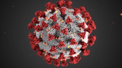 Global Covid-19 Caseload Tops 126.6 Million, Deaths Over 2.77 Million