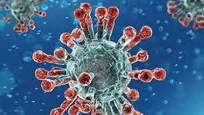 Is The 'Double Mutant' Variant Found In India More Dangerous?