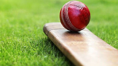 Cricket
