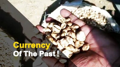Huge Stockpile Of Koudi Shells Unearthed In Nayagarh