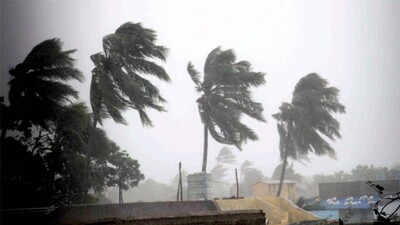 cyclone gaja latest updates