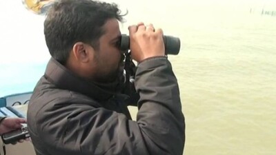DOLPHIN-CENSUS