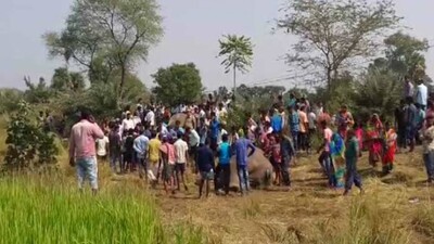 Dhenkanal-elephant-death