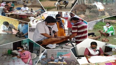 Odisha Veterinarians On Digital Strike