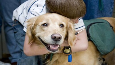 Dog-therapy
