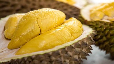 Durian33