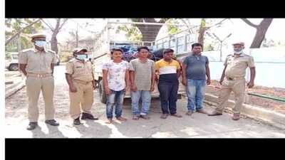 Electricity-poll-theft