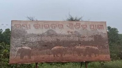 Elephant-Death