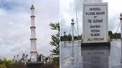 Elephant-tower-in-keonjhar
