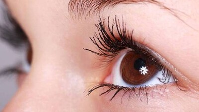 Eyes