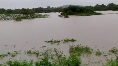 Flood